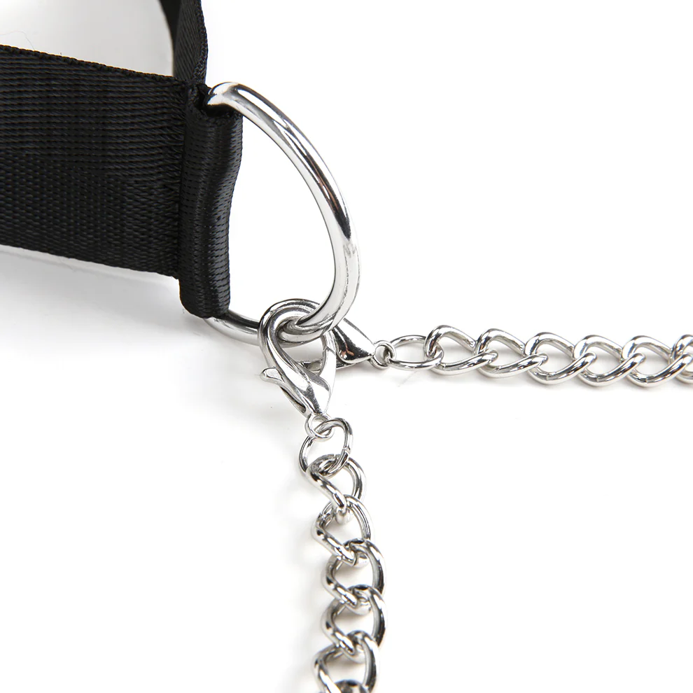 Nipple Chain with Collar Leash - Image 7